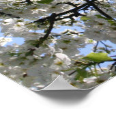 Drijvende boom poster (Hoek)