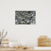 Drijvende boom poster (Keuken)