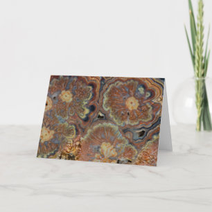 Drijvende buis Onyx Kaart