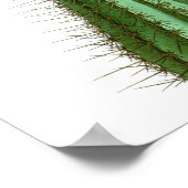 Drijvende Cactus No2  Natuurgeschiedenis Afdrukken Poster (Hoek)