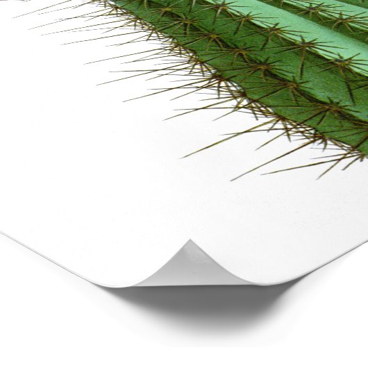 Drijvende Cactus No2  Natuurgeschiedenis Afdrukken Poster (Hoek)