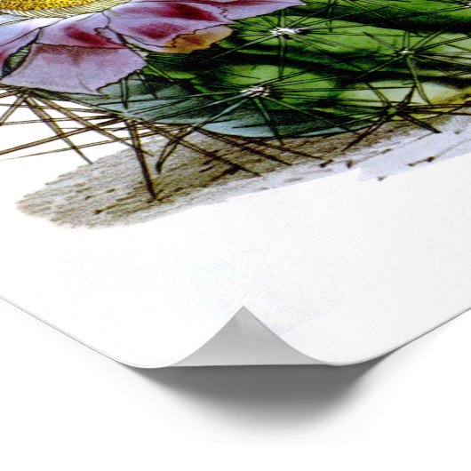 Drijvende Cactus No4 Natuurgeschiedenis Afdrukken Poster (Hoek)