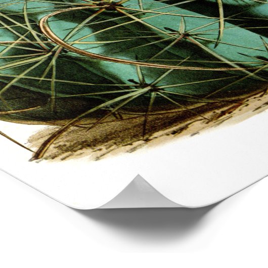 Drijvende cactus nr.5  natuurlijke geschiedenis af poster (Hoek)