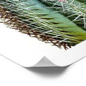 Drijvende cactus nr. 6  natuurlijke geschiedenis a poster (Hoek)