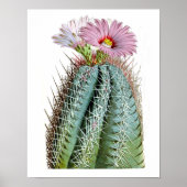 Drijvende cactus nr. 6  natuurlijke geschiedenis a poster (Voorkant)