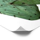 Drijvende cactus nr.8  natuurlijke geschiedenis af poster (Hoek)