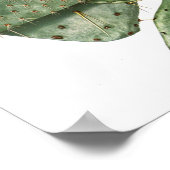 Drijvende cactus Nr.9  natuurlijke geschiedenis Af Poster (Hoek)