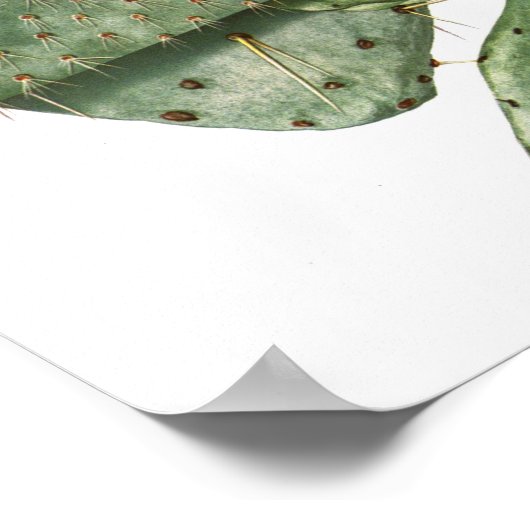 Drijvende cactus Nr.9  natuurlijke geschiedenis Af Poster (Hoek)