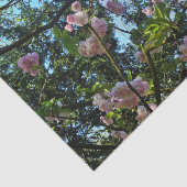 Drijvende Cherry Tree Blossom Natuur, weefselpapie Tissuepapier (Detail)