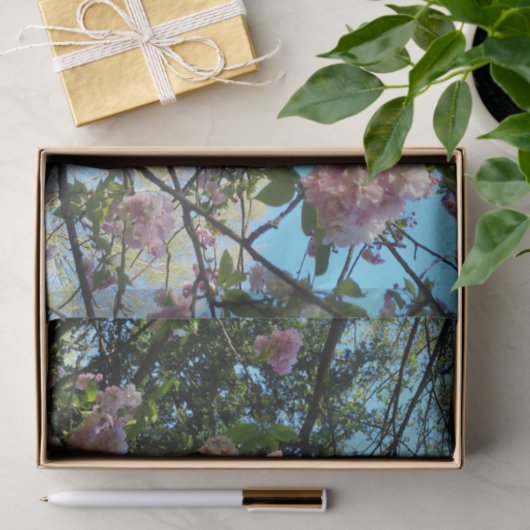 Drijvende Cherry Tree Blossom Natuur, weefselpapie Tissuepapier (Geschenk)