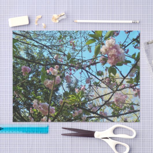 Drijvende Cherry Tree Blossom Natuur, weefselpapie Tissuepapier (Craft)