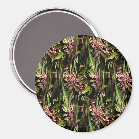 Drijvende druivensap..... magneet (Voorkant / Achterkant)