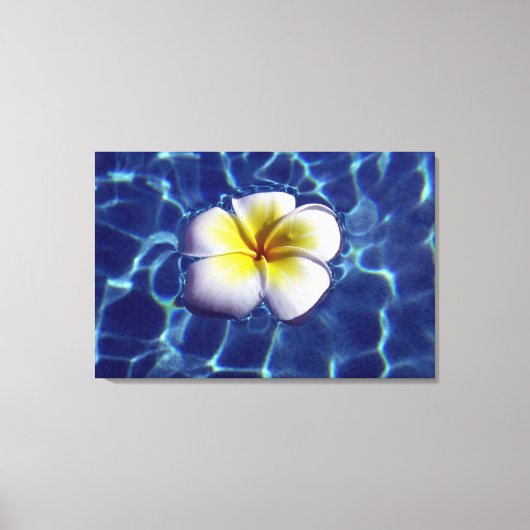 DRIJVENDE FRANGI 24x36 Canvas Afdruk (Voorkant)