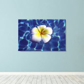 DRIJVENDE FRANGI 24x36 Canvas Afdruk (Insitu (Houten vloer))