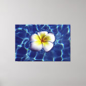 DRIJVENDE FRANGI 40x60 Canvas Afdruk (Voorkant)