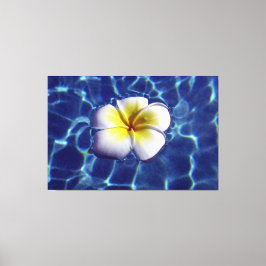 DRIJVENDE FRANGI 40x60 Canvas Afdruk