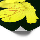 Drijvende gele wilde geranium bloemen poster (Hoek)