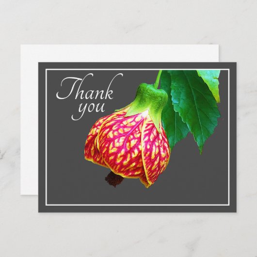 Drijvende grijze achtergrond - Dank u wel Briefkaart (Voorkant / Achterkant)