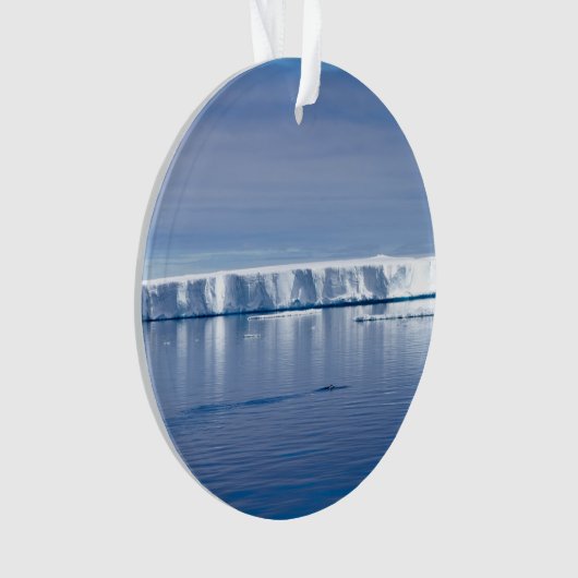 Drijvende ijsberg ornament (voorkant)