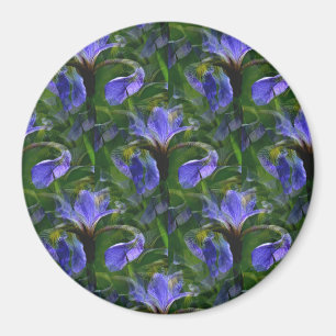 Drijvende irissen....... magneet