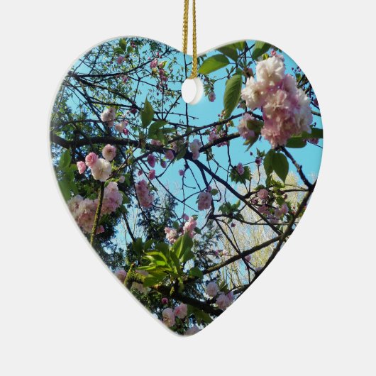 Drijvende kers, bloesem, Natuur, roze bloem Keramisch Ornament (Rechts)