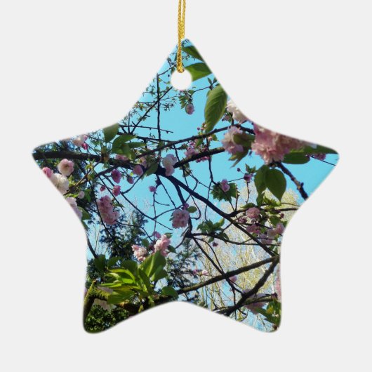 Drijvende kers, bloesem, Natuur, roze bloem Keramisch Ornament (Voorkant)