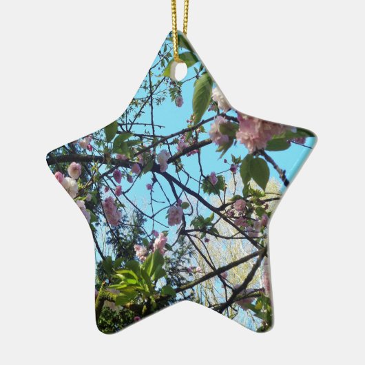 Drijvende kers, bloesem, Natuur, roze bloem Keramisch Ornament (Links)