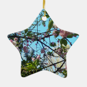 Drijvende kers, bloesem, Natuur, roze bloem Keramisch Ornament