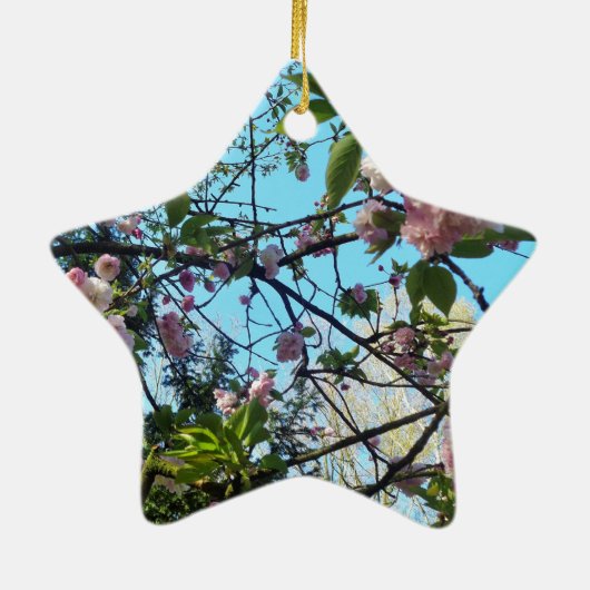 Drijvende kers, bloesem, Natuur, roze bloem Keramisch Ornament (Achterkant)