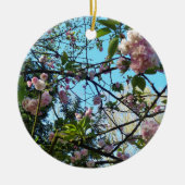 Drijvende kers, bloesem, Natuur, roze bloem Keramisch Ornament (Voorkant)