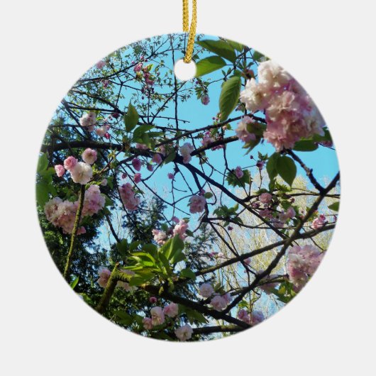 Drijvende kers, bloesem, Natuur, roze bloem Keramisch Ornament (Voorkant)