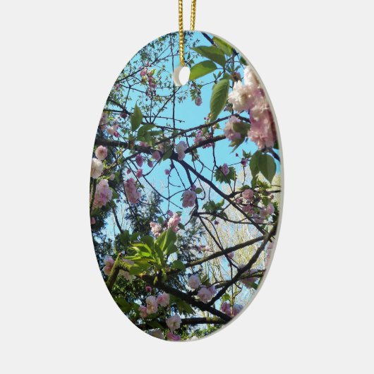 Drijvende kers, bloesem, Natuur, roze bloem Keramisch Ornament (Links)