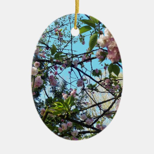 Drijvende kers, bloesem, Natuur, roze bloem Keramisch Ornament (Voorkant)