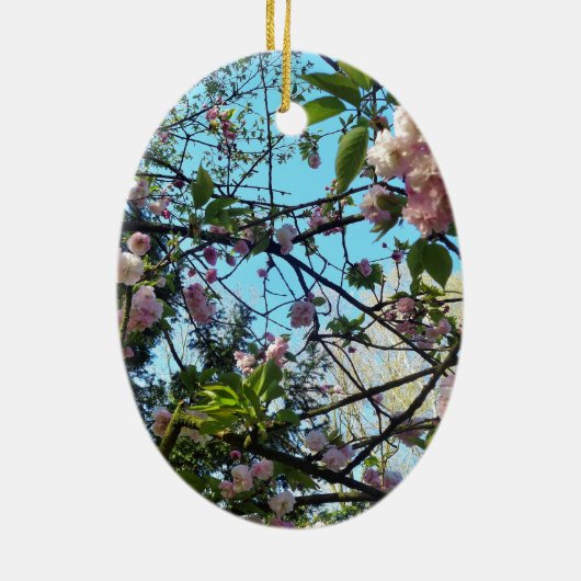 Drijvende kers, bloesem, Natuur, roze bloem Keramisch Ornament (Achterkant)