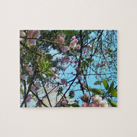 Drijvende kers, bloesem, Natuur, roze bloem Legpuzzel (Horizontaal)