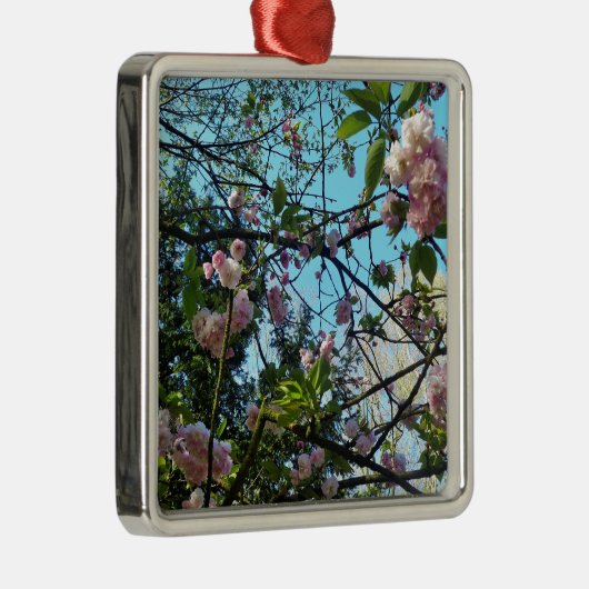 Drijvende kers, bloesem, Natuur, roze bloem Metalen Ornament (Rechts)