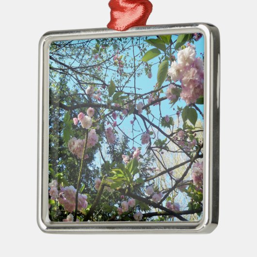 Drijvende kers, bloesem, Natuur, roze bloem Metalen Ornament (Links)