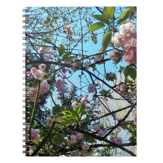 Drijvende kers, bloesem, Natuur, roze bloem Notitieboek (Voorkant)