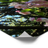 Drijvende kers, Natuur, boom, bloesem, Poster (Hoek)