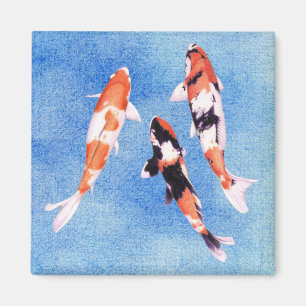 Drijvende Koi blue Magnet