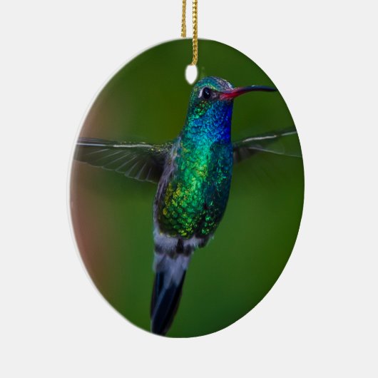 Drijvende kolibrie keramisch ornament (Rechts)