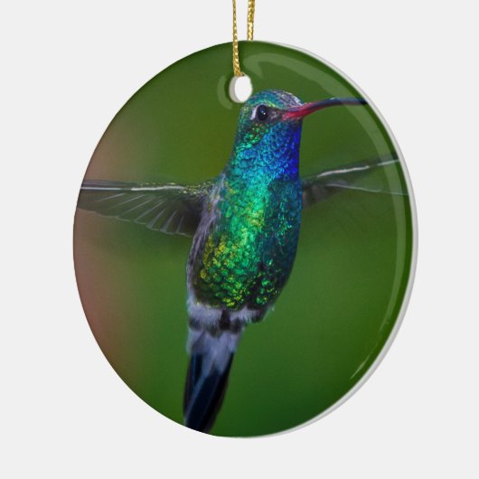 Drijvende kolibrie keramisch ornament (Links)