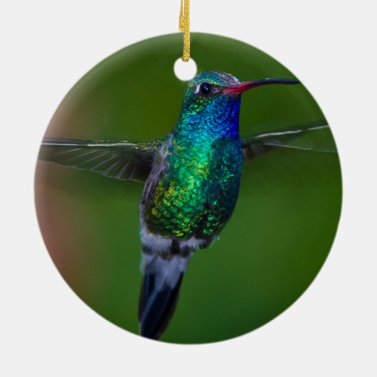 Drijvende kolibrie keramisch ornament (Achterkant)