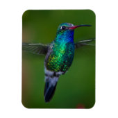 Drijvende kolibrie magneet (Verticaal)
