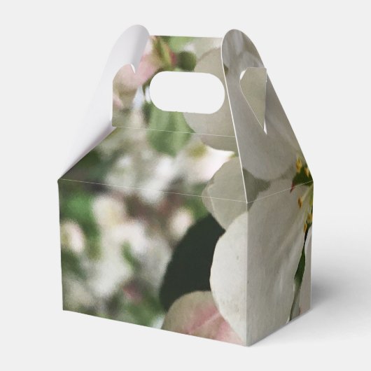 Drijvende krabappel bedankdoosjes (Achterkant)