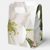 Drijvende krabappel bedankdoosjes (Geopend)