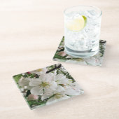 Drijvende krabappel glazen onderzetter (Schuin)