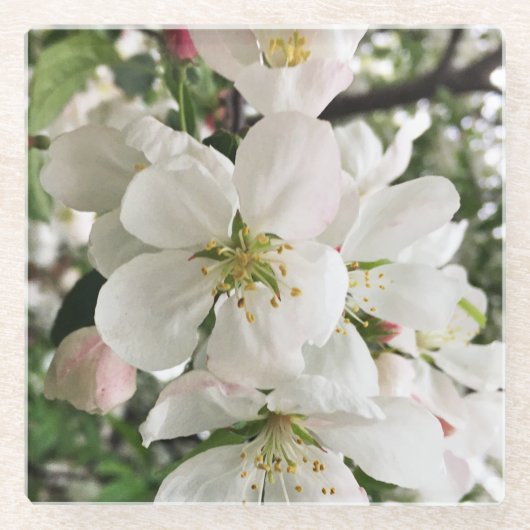 Drijvende krabappel glazen onderzetter (Voorkant)