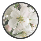 Drijvende krabappel hockey puck (Voorkant)