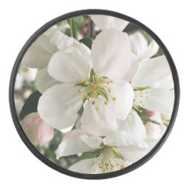 Drijvende krabappel hockey puck